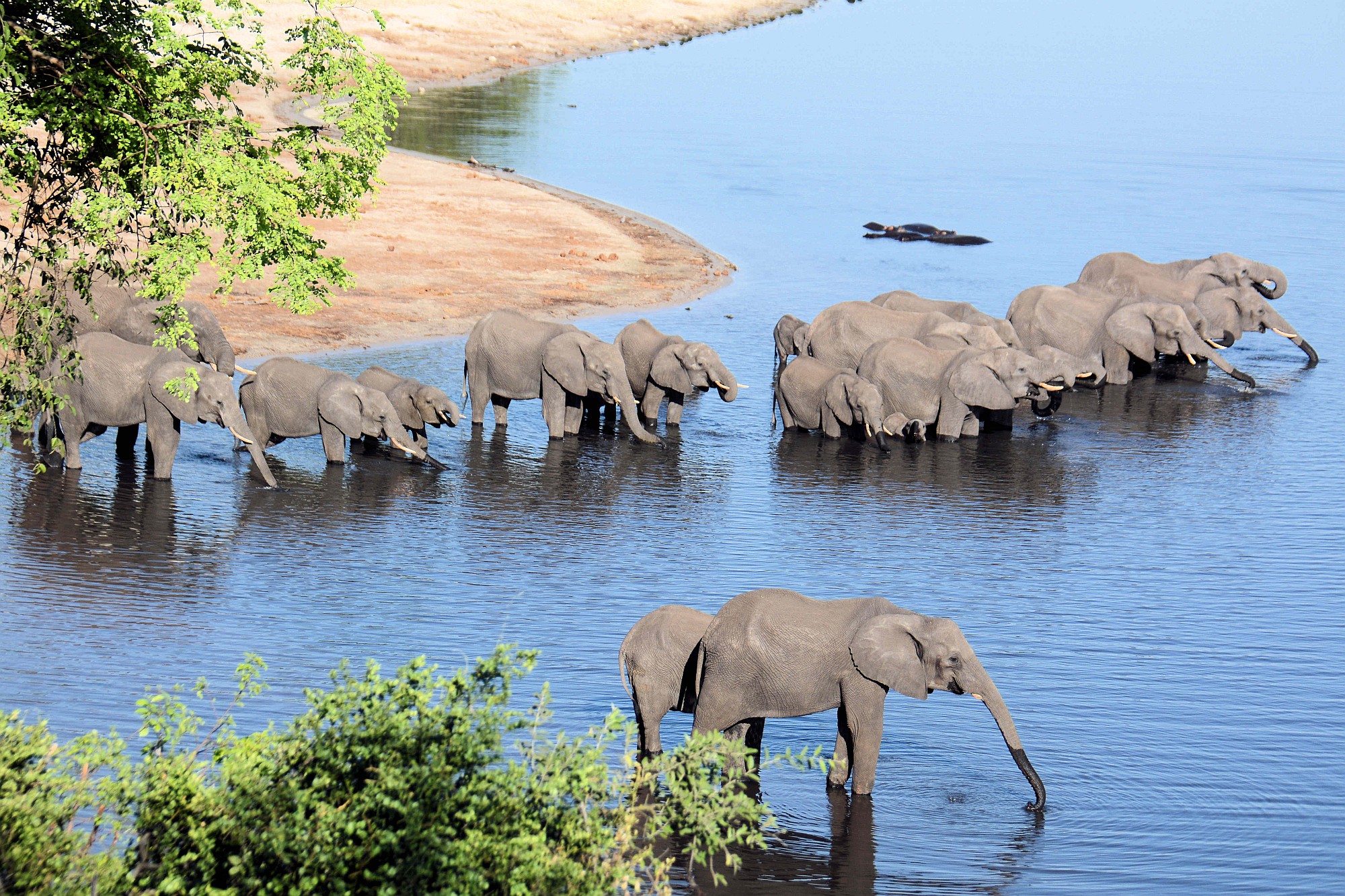 Cascate Vittoria Zimbabwe e Parco Chobe