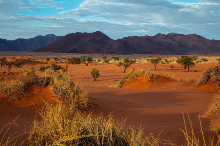 Namibia e Botswana Cerchio del Sud