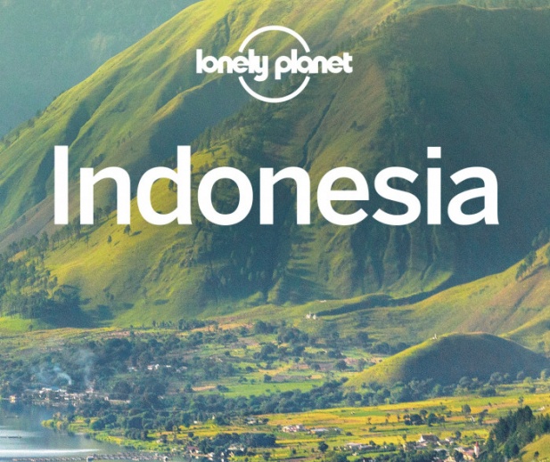 Vendita guida di viaggio Lonely Indonesia