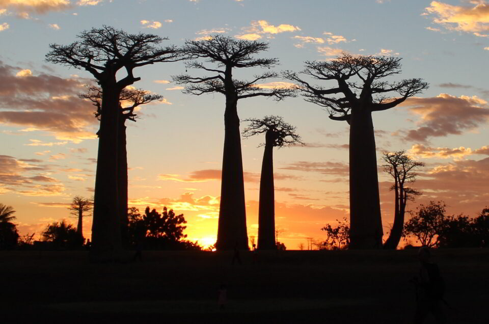 Madagascar: niente più certificati o tamponi per viaggiare