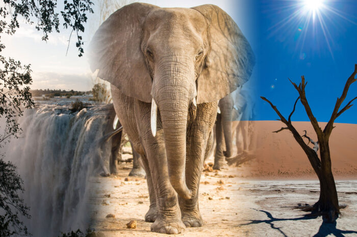 Namibia Deserto e Zambezi