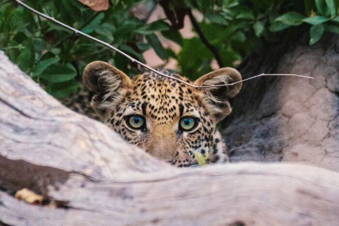Dal Kruger alle Cascate Vittoria