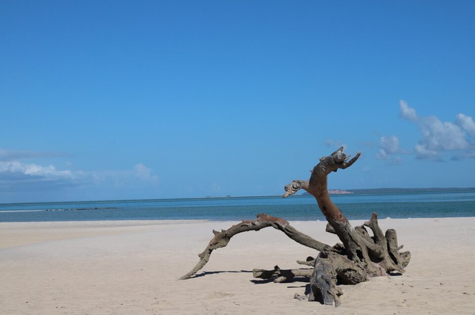 Mozambico