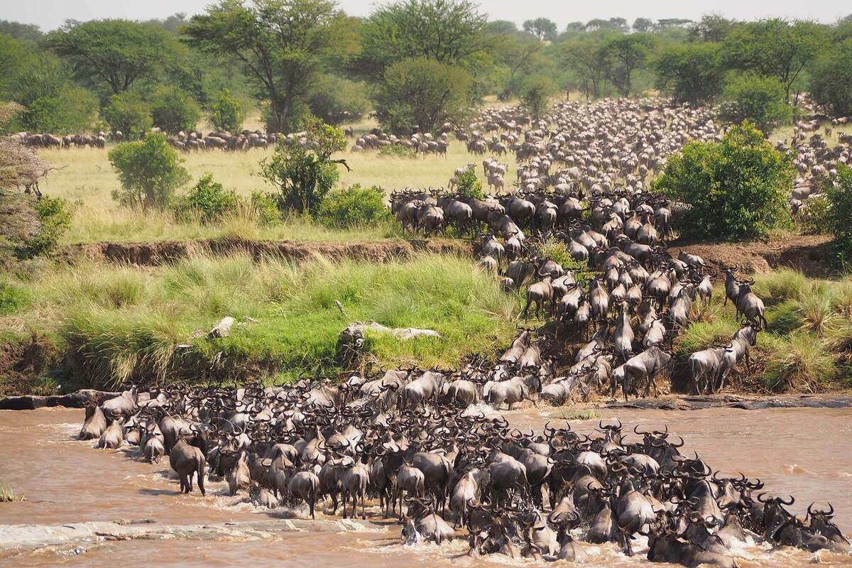 Kenya